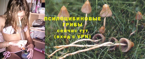 меф Богданович